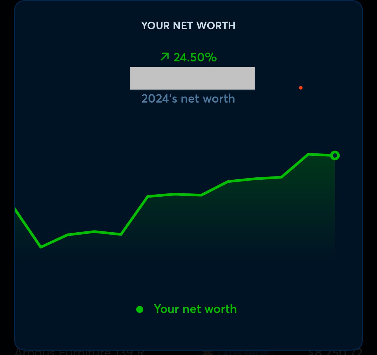 2024 Net Worth