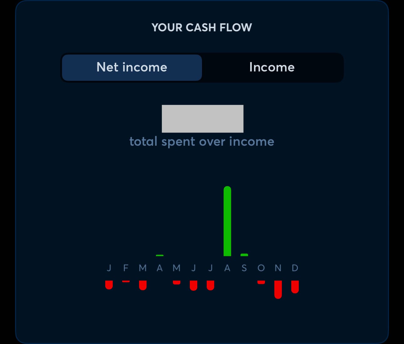 2024 Cashflow